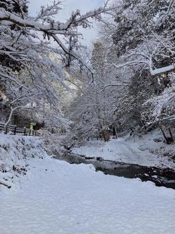 雪の山中 雪の山中 雪,雪景色,小川の写真素材