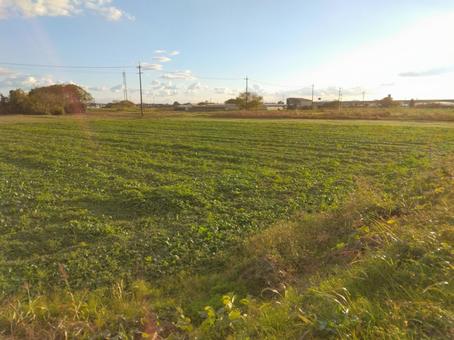 畑と空2 畑と空2の写真