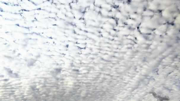 鱗雲 鱗雲の写真