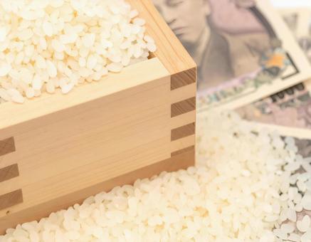 お米 お金 升 お米 お金 升の写真