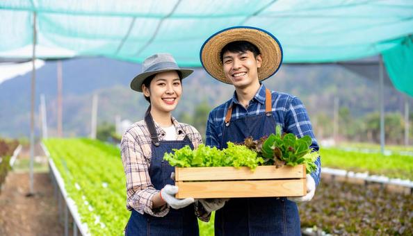 畑で苗を持って笑顔の日本人夫婦 畑で苗を持って笑顔の日本人夫婦の写真