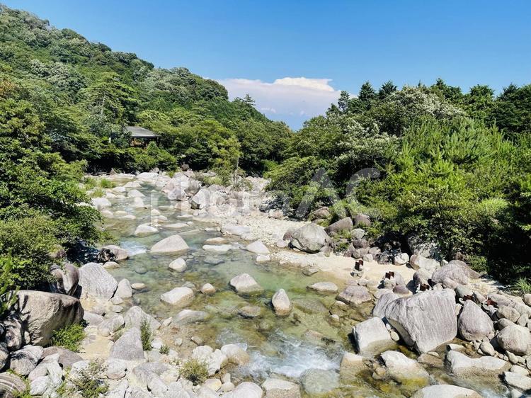 美しい夏の渓流風景 小川,清流,新緑の写真素材