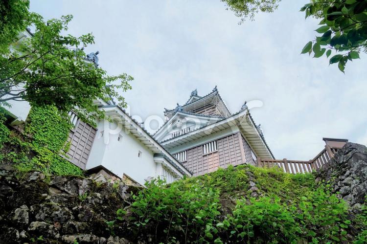 福井県の大野城 大野,城,天守の写真素材