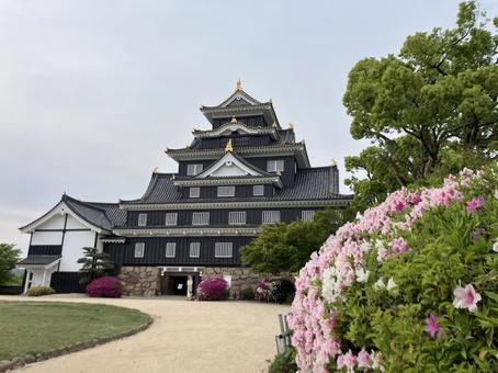 岡山城 岡山城 岡山城,岡山県,城の写真素材