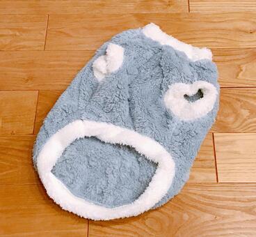 ペット衣類 ペット衣類,犬,服の写真素材