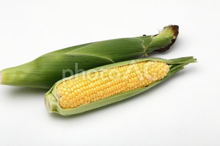 とうもろこし とうもろこし とうもろこし,とうきび,コーンの写真素材
