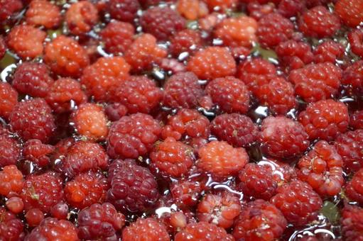 Raspberry washing07, JPG