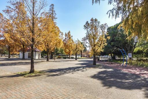 大師公園 大師公園,川崎市,川崎区の写真素材