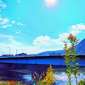 青空と秋の植物 青空と秋の植物の写真