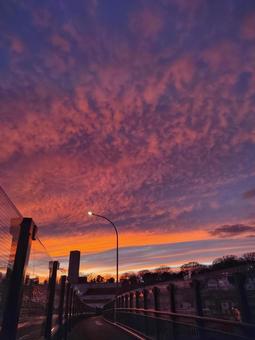 夕焼け 道路 夕焼け 道路の写真