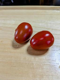 家庭菜園のミニトマト 家庭菜園のミニトマトの写真