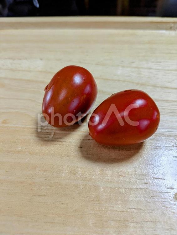 家庭菜園のミニトマト トマト,野菜,夏の写真素材