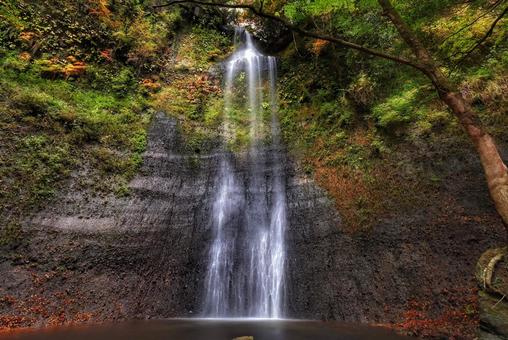 紅葉の滝 紅葉の滝の写真