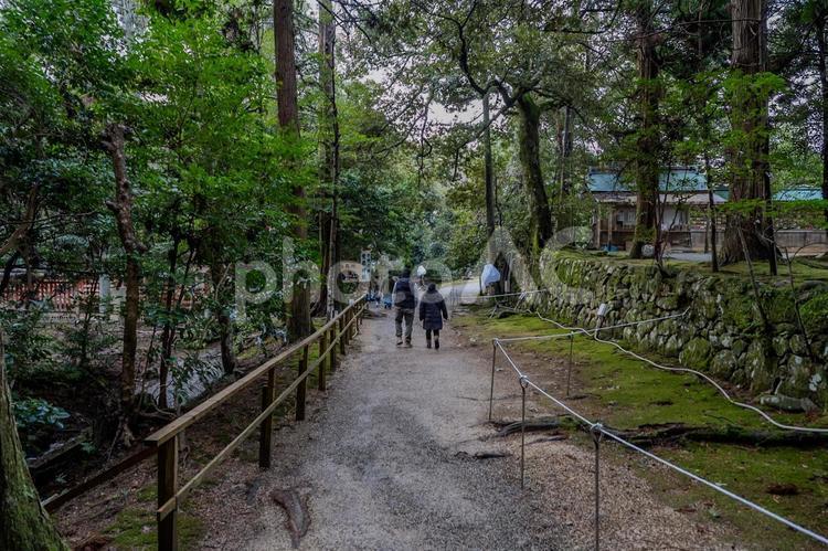 気多大社周辺の景色 気多大社,神社,砂利道の写真素材