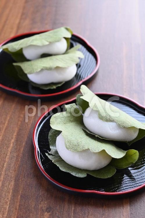 柏餅 柏餅,かしわ餅,和菓子の写真素材
