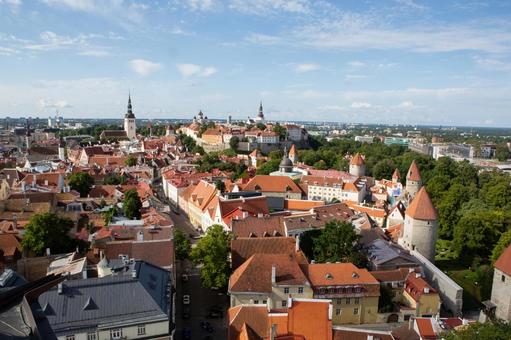 タリン歴史地区　エストニア タリン,エストニア,タリン歴史地区の写真素材