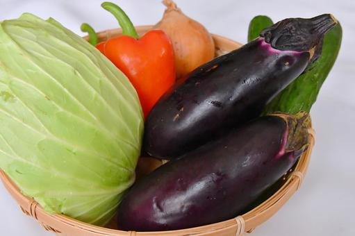 色々な野菜 色々な野菜 野菜,キャベツ,なすの写真素材