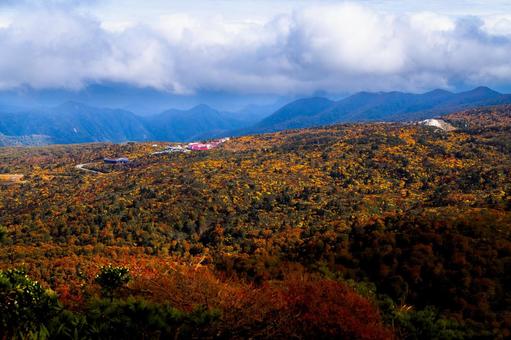 栗駒山 黄金色の草原と紅葉 秋,紅葉,黄葉の写真素材