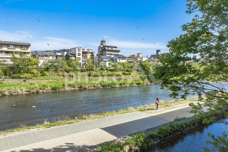 鴨川の風景 鴨川,京都,京都府の写真素材