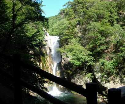 滝と緑 滝と緑の写真