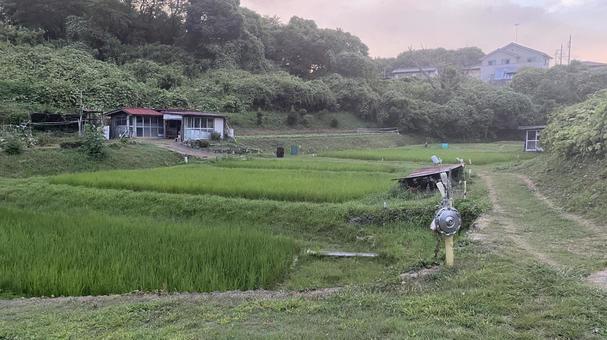 田んぼのある日本の農村風景 田んぼのある日本の農村風景の写真