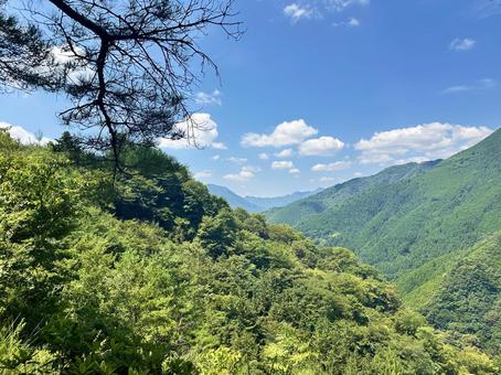 日本の秘境 十津川村 日本の秘境 十津川村 十津川村,自然,森林の写真素材