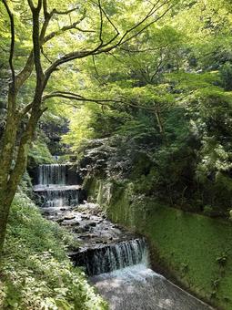 光に包まれた川 光に包まれた川 川,光,水流の写真素材