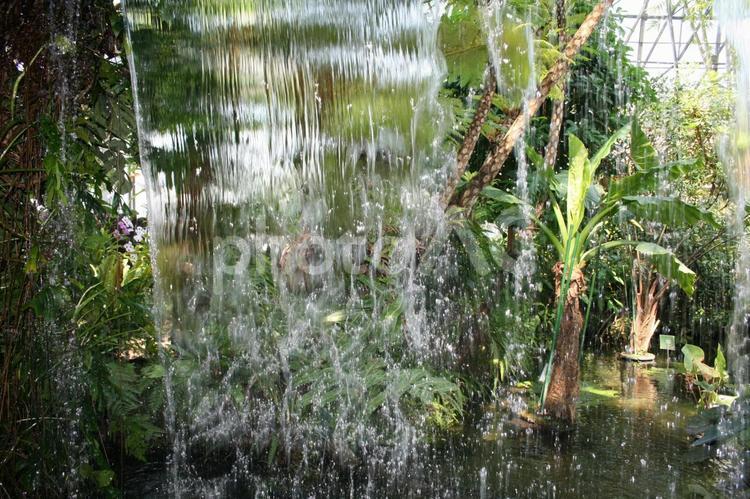 夢の島熱帯植物館の滝 東京都,江東区,夢の島の写真素材