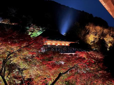 清水寺の紅葉ライトアップ 夜の絶景 清水寺の紅葉ライトアップ 夜の絶景 秋,紅葉,夜景の写真素材