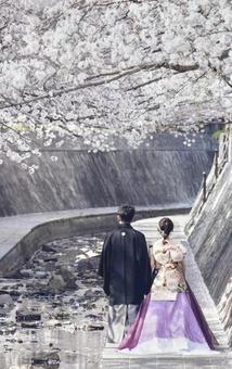 結婚 前撮り 結婚 前撮り 結婚,結婚式,前撮りの写真素材