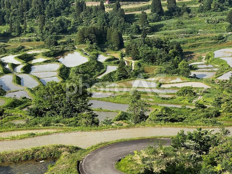 星峠の棚田 星峠の棚田,星峠,棚田の写真素材