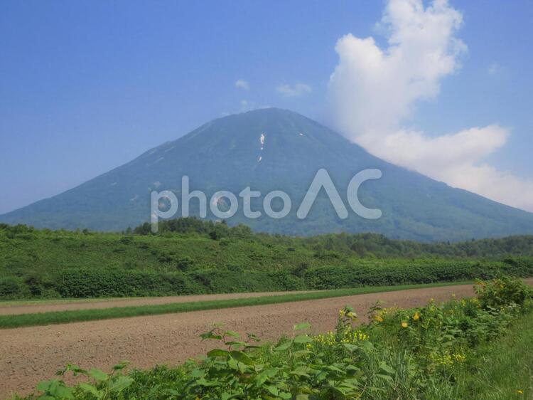羊蹄山　北海道　夏 北海道,山,羊蹄山の写真素材