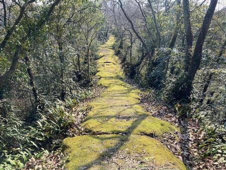 石見銀山街道 石見銀山街道,銀山街道,街道の写真素材