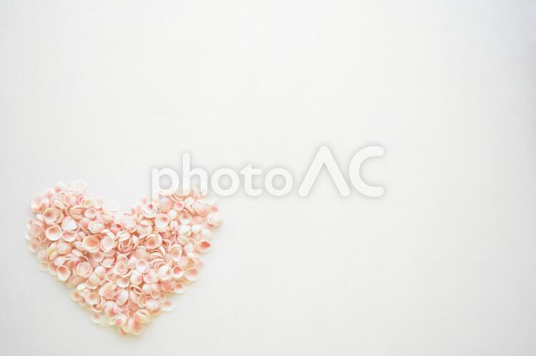 幸せを呼ぶ桜貝・小さいハート左下 桜貝,さくらがい,貝殻の写真素材