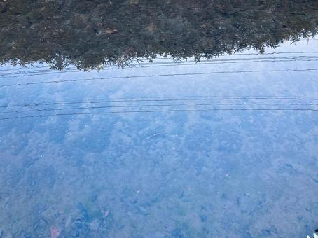 川の水面 川の水面の写真