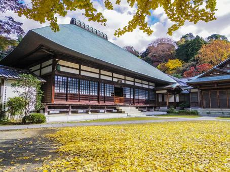 【神奈川県】鎌倉市・浄妙寺 浄妙寺,鎌倉五山,秋の写真素材