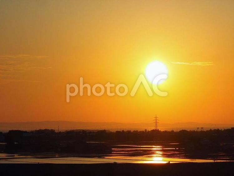 夕日と田んぼ 夕日,夕焼け,田んぼの写真素材
