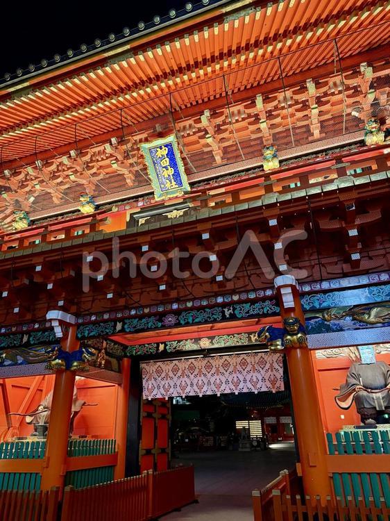 神田明神　夜の隨神門 夜,ライトアップ,明かりの写真素材