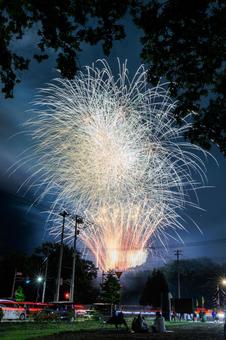打ち上げ花火 打ち上げ花火 打ち上げ花火,花火,夜空の写真素材