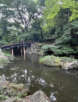 庭園 庭園の写真