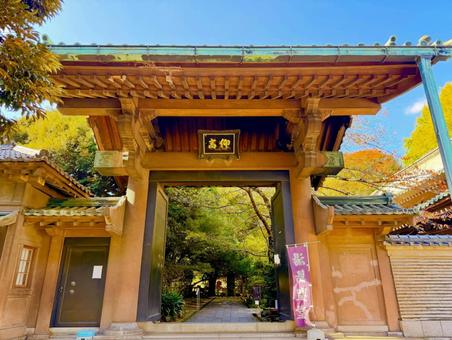 秋の湯島聖堂の門 湯島聖堂,門,秋の写真素材