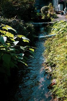 小川 小川 自然,川,小川の写真素材