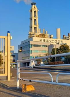 火力発電所前のガードレール下に茶トラ猫 茶トラ猫,野良猫,ネコの写真素材