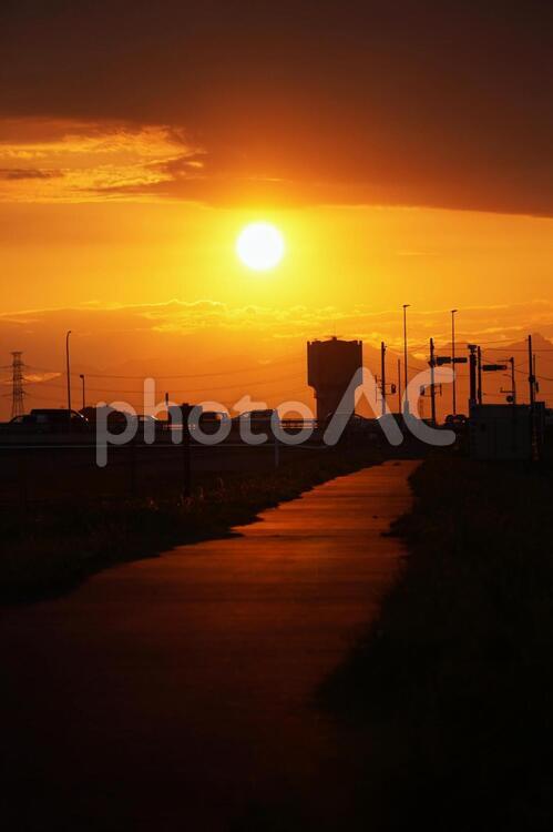 土手から見える夕日　 夕焼け,日暮れ,夕陽の写真素材