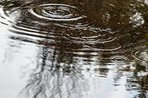 雨上がりの水たまりに広がる波紋 雨上がりの水たまりに広がる波紋 水たまり,波紋,雨の写真素材