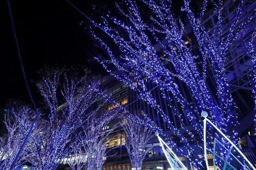 福岡 博多駅のイルミネーション1 光の森,博多駅前広場,博多駅の写真素材