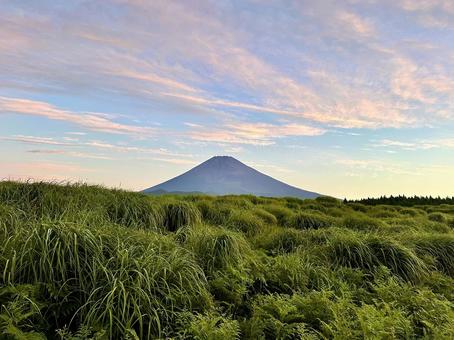 草原地帯から見る朝の富士山 草原地帯から見る朝の富士山の写真