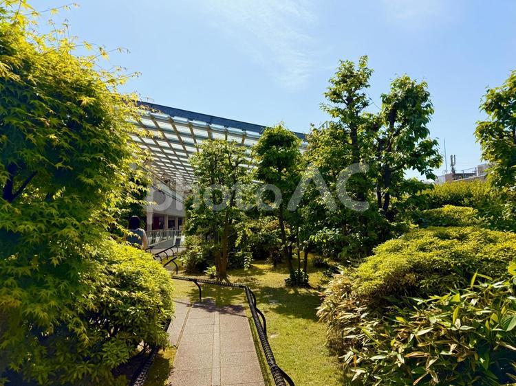 成城学園前駅の屋上庭園とブルースカイ 青空,空,ブルースカイの写真素材