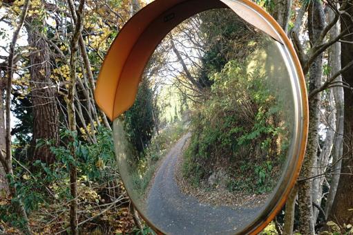 カーブミラー越しに見る秋の林道 カーブミラー越しに見る秋の林道の写真