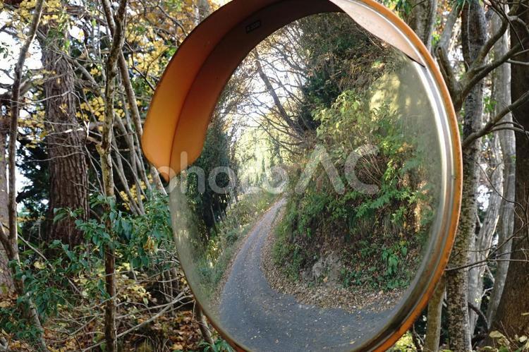 カーブミラー越しに見る秋の林道 カーブミラー,越し,見るの写真素材